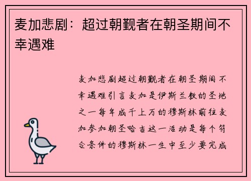 麦加悲剧：超过朝觐者在朝圣期间不幸遇难